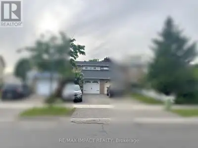 BASEMENT - 333 BRAYMORE BOULEVARD Toronto (Rouge), Ontario