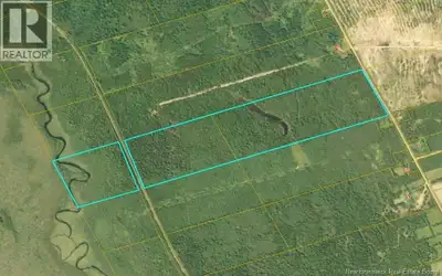 100 Acres of Exceptional Woodland with Investment & Recreational Potential. Discover approximately 1...
