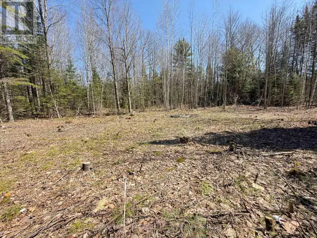 00 GARDEN OF EDEN ROAD Horton, Ontario62864748966914123
