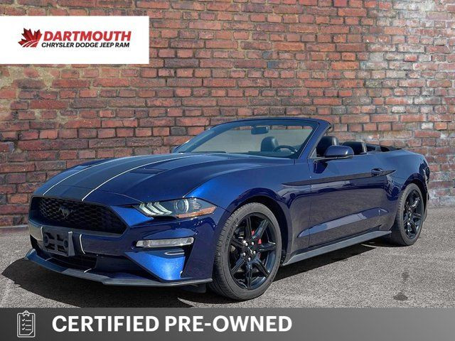2019 Ford Mustang EcoBoost Premium in Cars & Trucks in Dartmouth