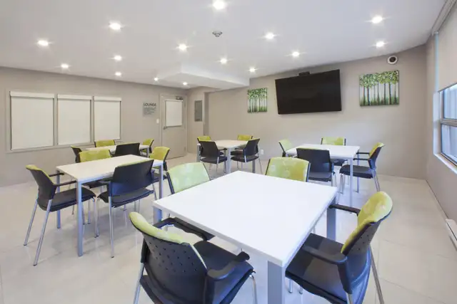 Fantastic 2 bdrm apartment for rent minutes to downtown Windsor! in Long Term Rentals in Windsor Region - Image 13