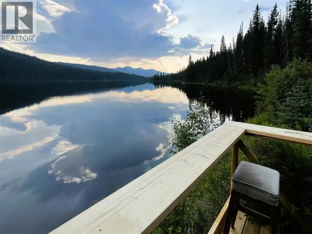 5900 BOWRON LAKE ROAD Wells, British Columbia in Houses for Sale in Quesnel - Image 8