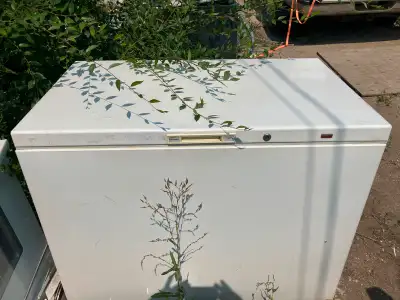 46" w 15cf Freezer $400 tax in 1 yr.  warranty loc. delivery in, View more