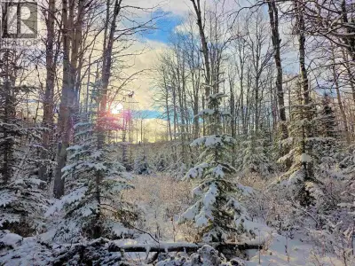 Very private 148.99 acres close to Uncha Lake approximately 20 minutes from the Southbank Ferry Term...