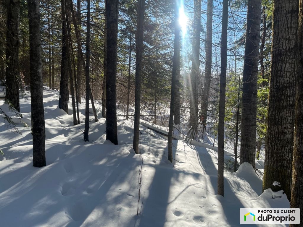 $60,000 - Residential Lot for sale in La Malbaie (Ste-Agnès) — photo 1