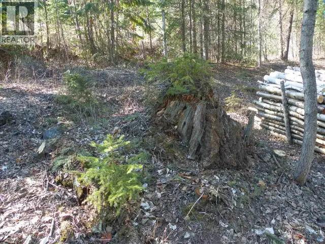 LOT A CANIM-HENDRIX LAKE ROAD Canim Lake, British Columbia in Land for Sale in 100 Mile House - Image 15