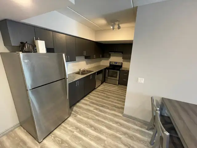 SHORT TERM RENTAL - Luxury Spacious & Furnished Student/Young Pr in Long Term Rentals in Kitchener / Waterloo - Image 6