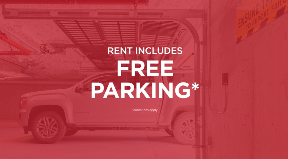 Pet-Friendly One Bedroom One Bath with In-suite Laundry for Rent 2