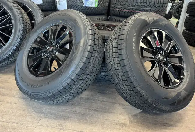 2005–2026 Ford F-150 / Expedition Winter Rim &  Tires in Tires & Rims in Edmonton - Image 8