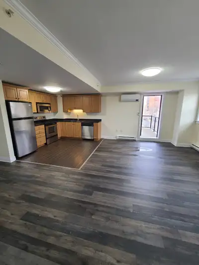 Modern Downtown Halifax Luxury Apartment Unit 408 Location: The James, South Street, Halifax, NS Fea...