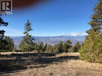 3.11 ACRES – RESIDENTIAL ACREAGE WITH PRIVACY! Bring your building plans—no timeline to build! This...