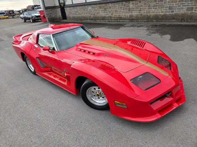 1976 Chevrolet Corvette GREENWOOD DAYTONA / ONLY 29 000 MILES Ve in Classic Cars in City of Toronto - Image 13
