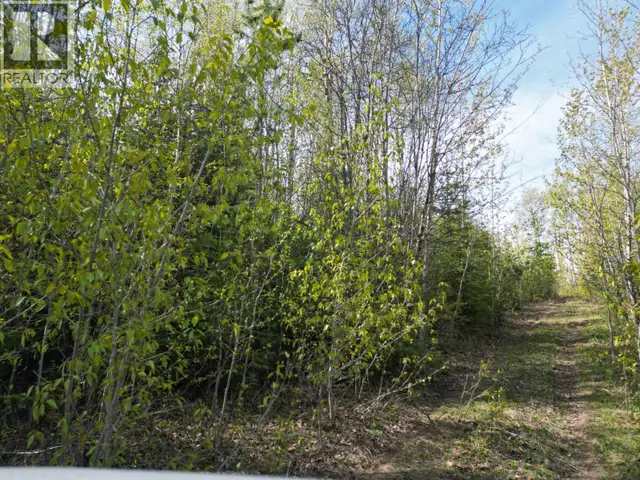 LOT A BALD HILL ROAD Burns Lake, British Columbia in Land for Sale in Burns Lake - Image 12