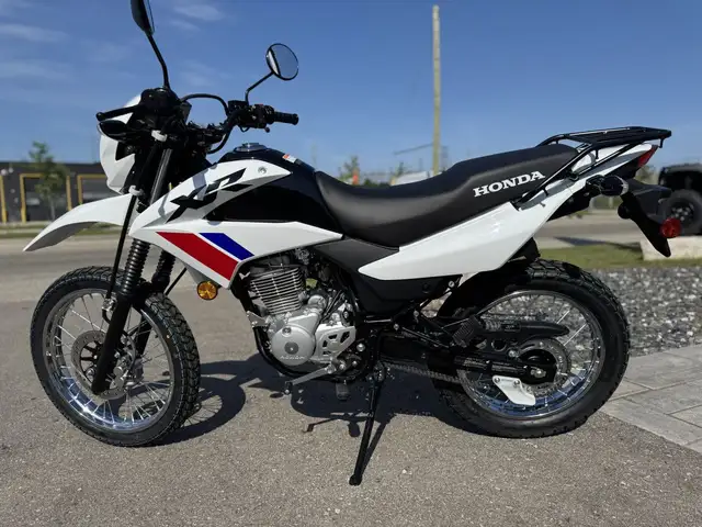 2025 Honda XR150L Standard in Street, Cruisers & Choppers in Kitchener / Waterloo - Image 7