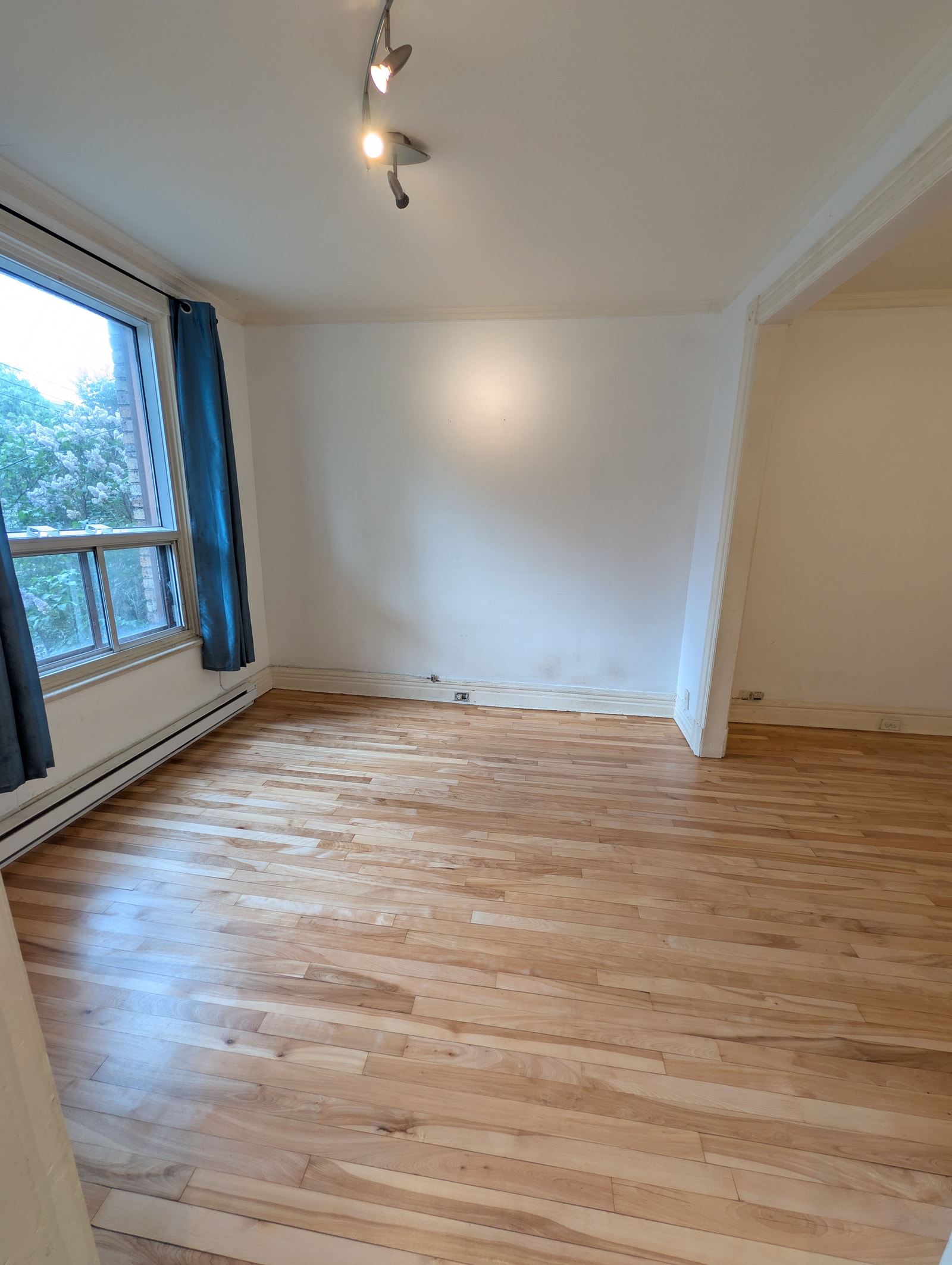 3786 Rue Éthel — photo 1