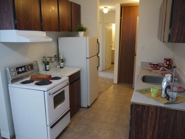 Spacious 1 Bedroom Top Floor! Pet Friendly! in Long Term Rentals in Edmonton