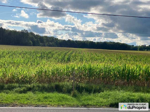 1 100 000$ - Terre agricole à vendre à St-David dans Terrains à vendre  à Saint-Hyacinthe - Image 3