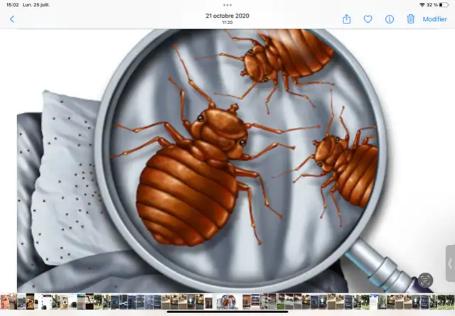 EXTERMINATION EXTERMINATEUR PUNAISES BAS PRIX 1989 514-321-786763616725090305124
