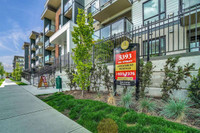 Move-In Now, Live Rent Free Until July + 1 Month Rent Fee + $500 Security Deposit Move in this month... (image 1)