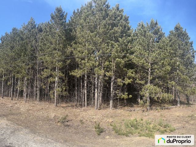 $199,000 - Residential Lot in Drummondville (St-Nicéphore) — photo 2