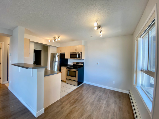 Square 104 - LARGE 2 BEDROOM Downtown Apartment! in Long Term Rentals in Edmonton - Image 2