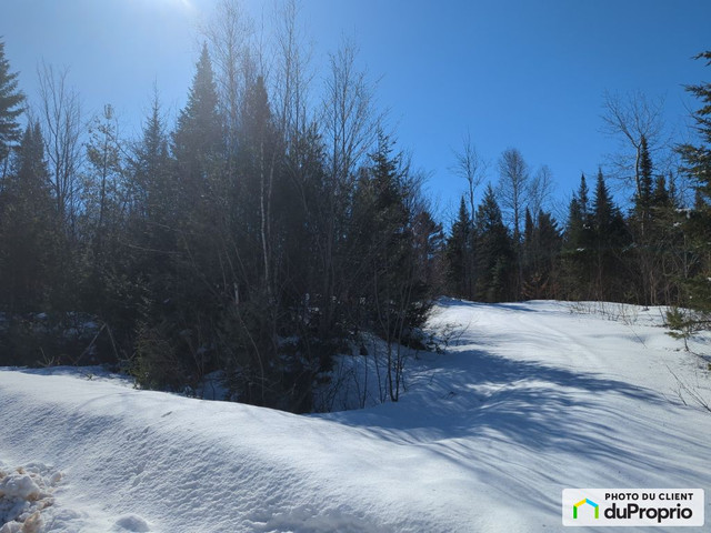 72 500$ - Terrain résidentiel à vendre à St-Gabriel-De-Brandon dans Terrains à vendre  à Laval/Rive Nord - Image 2