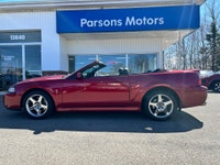 WHY THIS COBRA IS NEXT LEVEL: SVT COBRA TERMINATOR Supercharged, iconic, and getting harder to find... (image 9)