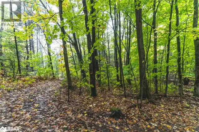 PT LOTS 23 & 24 CON 8 Oro-Medonte, Ontario in Land for Sale in Barrie - Image 9