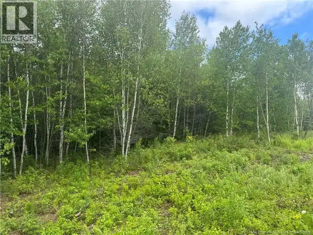 Lot 25 Misty Mountain Road Elmsville, New Brunswick in Land for Sale in Saint John - Image 27