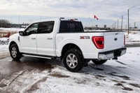ENGINE: 3.5L V6 ECOBOOST -inc: auto start/stop technology system 3.31 Axle Ratio GVWR: 3 198 kg (7 0... (image 1)