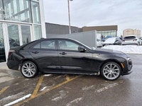 AMVIC Licensed Dealer Amvic Licensed Dealer Stock number: 6D114299 The New 2025 Cadillac CT4 Sport i... (image 8)