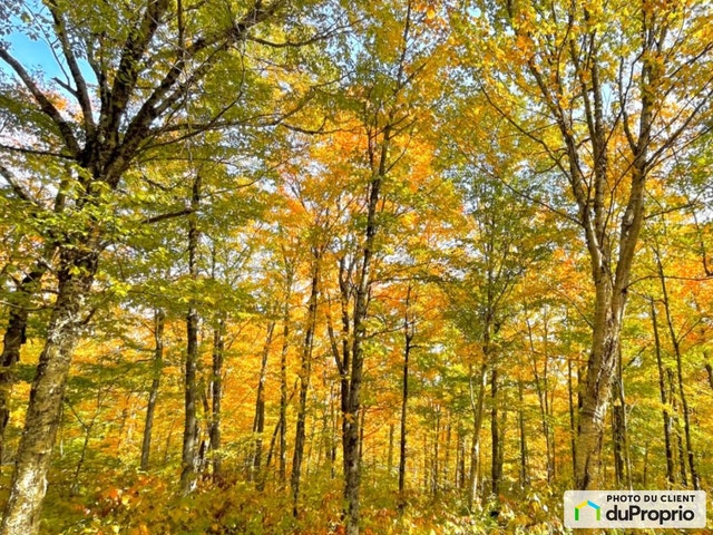 $74,950 - Residential Lot for sale in St-Fabien-De-Panet — photo 1
