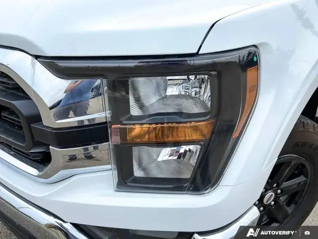 2023 Ford F-150 XLT | Accident Free CarFax | in Cars & Trucks in Edmonton - Image 13