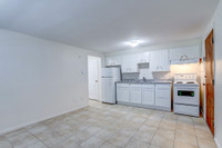 230 ROBINSON - 1 BED - DOWNTOWN - BASEMENT - AVAIL JUNE 1st