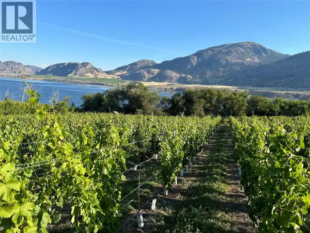 9425 87TH Street Osoyoos, British Columbia in Houses for Sale in Penticton - Image 11