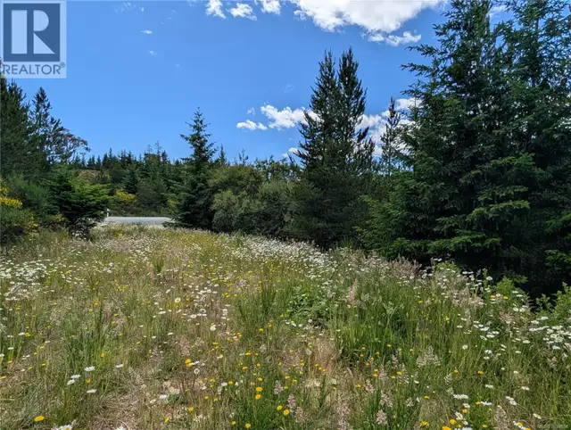 Lot 1 Eagle Vista Rd Shawnigan Lake, British Columbia in Land for Sale in Victoria - Image 11