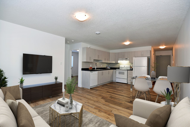 NEWLY RENOVATED 2 & 3 BEDROOM APARTMENT AVAILABLE in Long Term Rentals in Kingston - Image 3