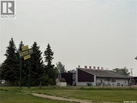304 King Edward STREET Davidson, Saskatchewan Saskatoon Saskatchewan Preview