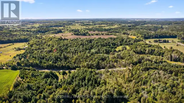 8155 19TH SIDE ROAD King (Schomberg), Ontario in Land for Sale in Barrie - Image 4
