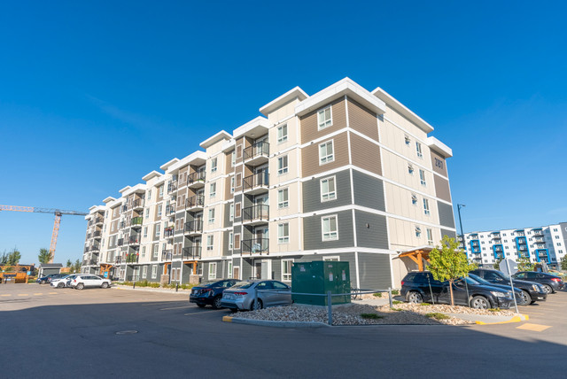 Pet-Friendly Two Bedroom One Bath with In-suite Laundry for Rent in Long Term Rentals in Edmonton - Image 3