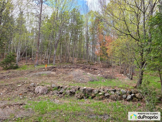 $275,000 - Residential Lot for sale in Mont-Tremblant — photo 1