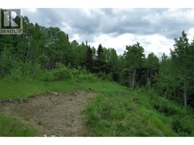LOT 15 MCCARTHY ROAD Bridge Lake, British Columbia in Land for Sale in 100 Mile House - Image 8