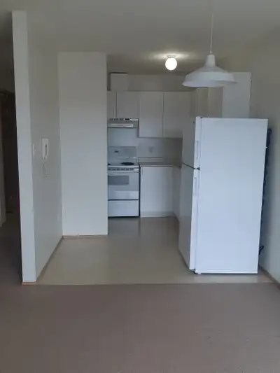 1 Bedroom Apartment Coming Mid July