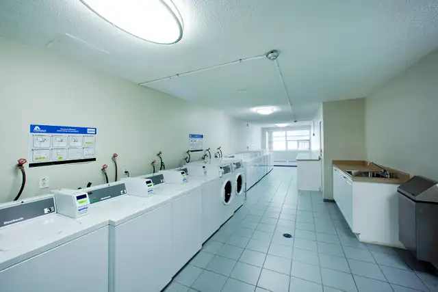 3 Bedroom Apartment- North York Don Valley Parkway Brookbanks Dr in Long Term Rentals in City of Toronto - Image 14