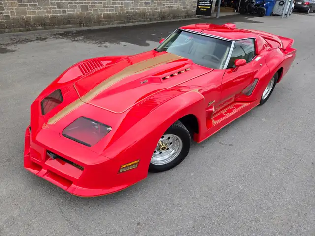 1976 Chevrolet Corvette GREENWOOD DAYTONA / ONLY 29 000 MILES Ve in Classic Cars in City of Toronto - Image 18