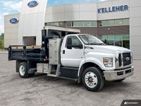 This FORD MEDIUM TRUCK F-650 has a trusty Regular Unleaded V-8 7.3 L engine powering it's polished t... (image 6)