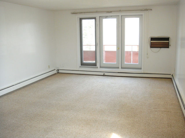 AVAILABLE NOW - LARGE 1 BEDROOM -2512 LOUISE STREET(MARKET MALL) in Long Term Rentals in Saskatoon - Image 2