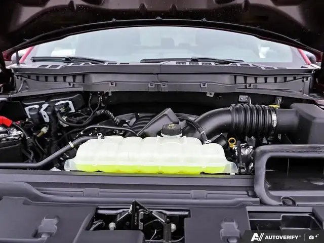 2025 Ford F-150 LOBO in Cars & Trucks in Edmonton - Image 10