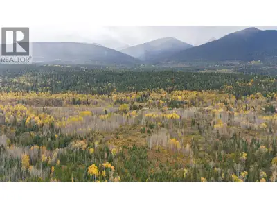Just a short drive from McBride, this quarter-section offers endless potential for your rural lifest...