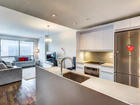 Walter,1 bed, bright, pool, rooftop, 2727 St-Patrick (south west